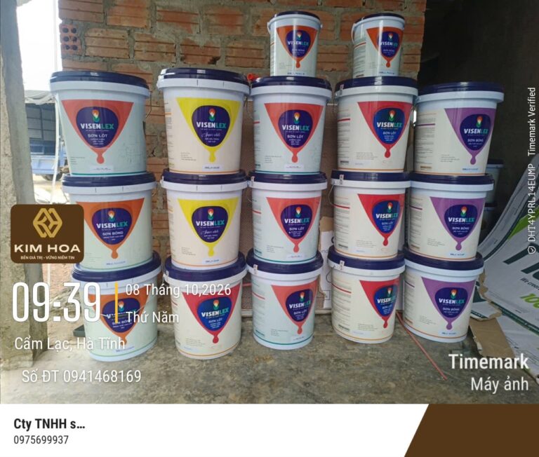 Các sản phẩm sơn Visenlex được tập kết tại công trình nhà ở Cẩm Lạc, Hà Tĩnh.